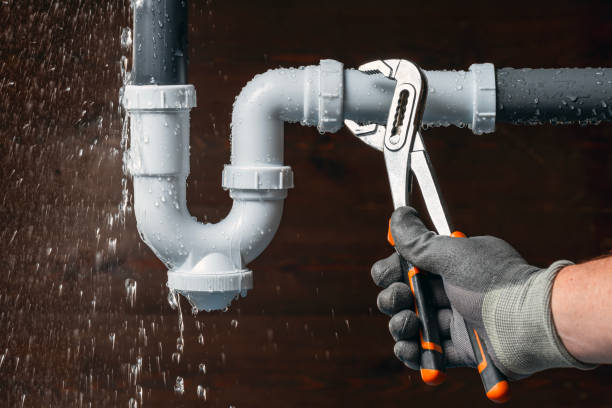 Professional Plumbing technician working in Wolf Lake, IL